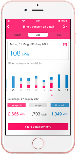 
Apartat Detalls dels meus consums en l'app Mercat Regulat