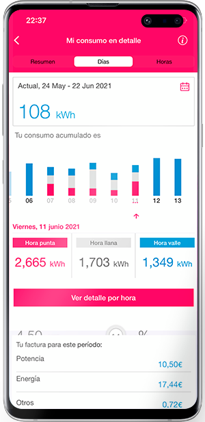 Apartado Detalles de mis consumos en la app Mercado Regulado